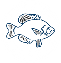 Casa da Tilápia Avaré Logo